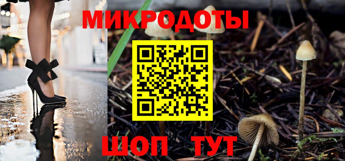 Псилоцибиновые грибы Psilocybe  Галлюциногенные грибы ЛСД  Камень-на-Оби  Вход с VPN 