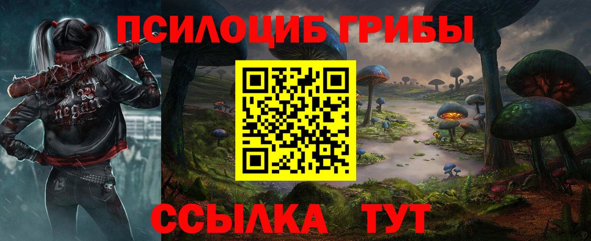 Псилоцибиновые грибы мицелий Камень-на-Оби